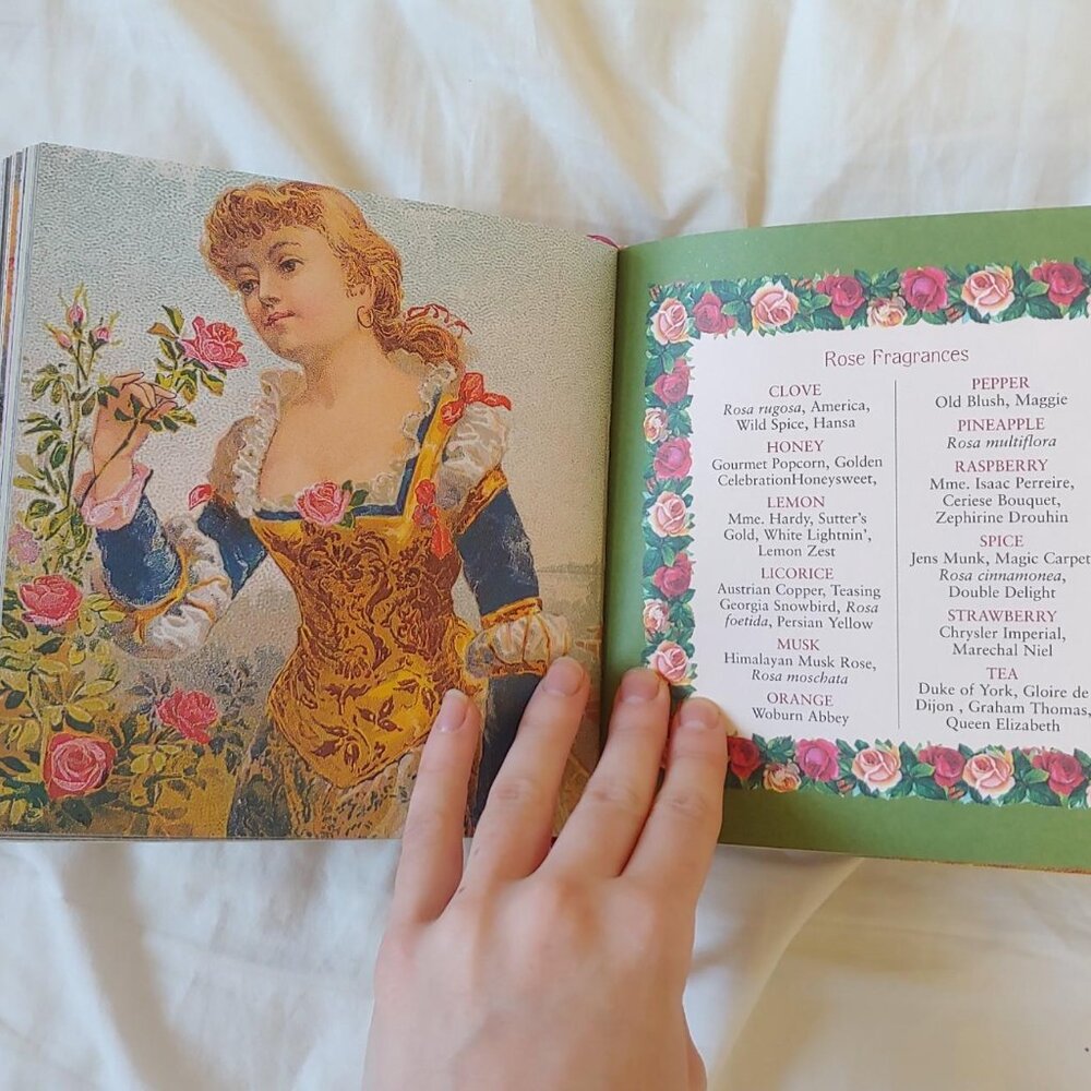 The Little Big Book of Roses coffee table book - Picture 4 of 4